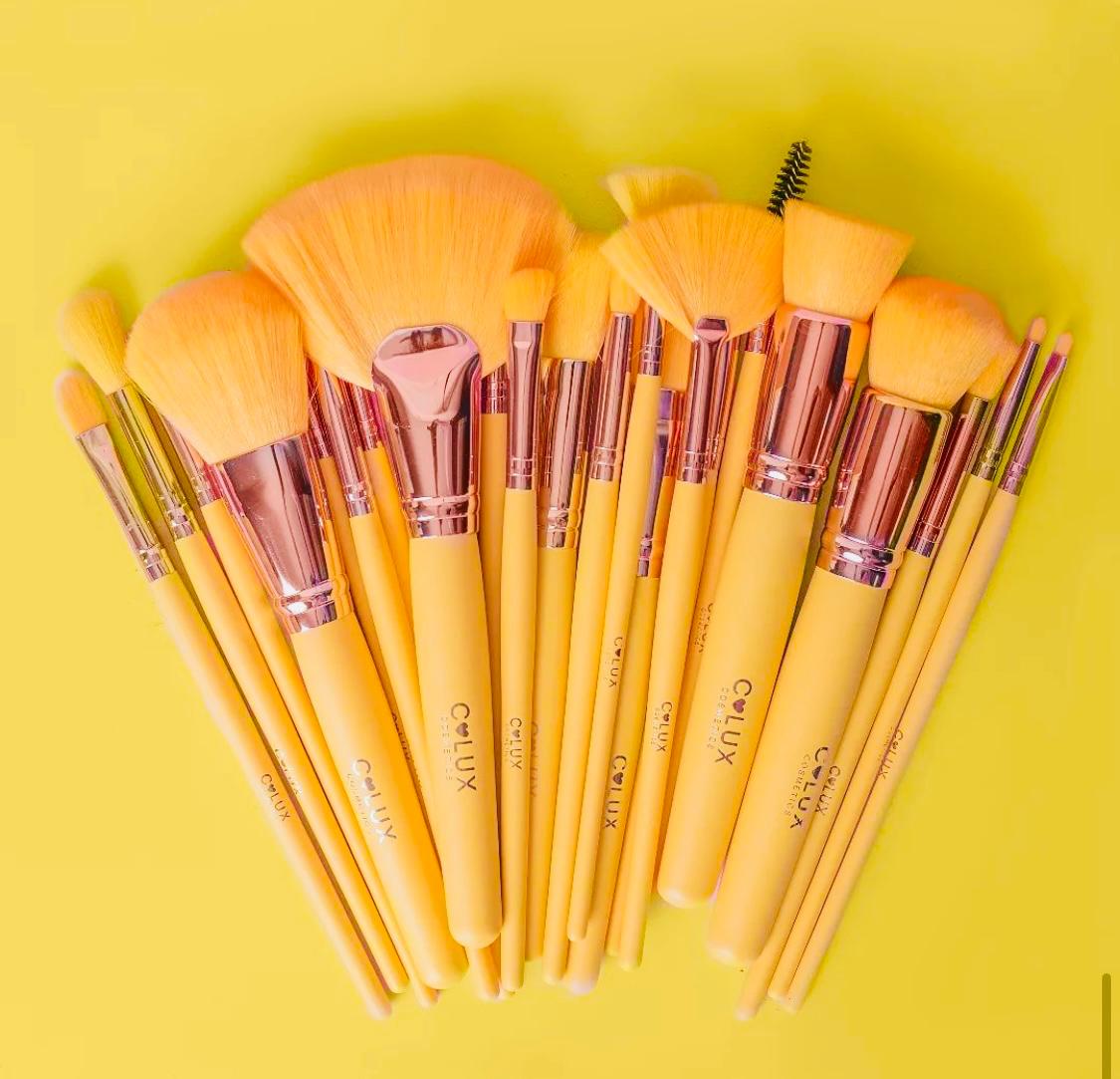 Brush set clux 24 pzas