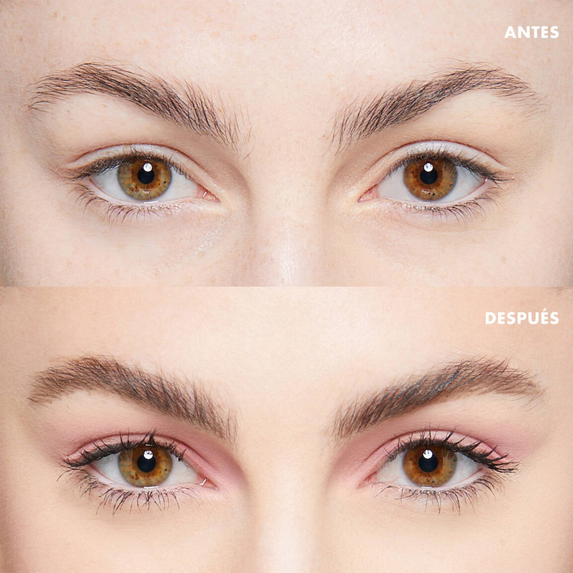 THE BROW GLUE